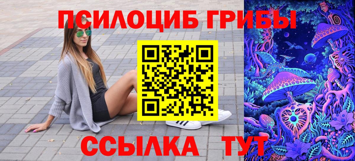 Шуя  Псилоцибиновые грибы Magic Shrooms  Вход с VPN  Псилоцибиновые грибы мухоморы 