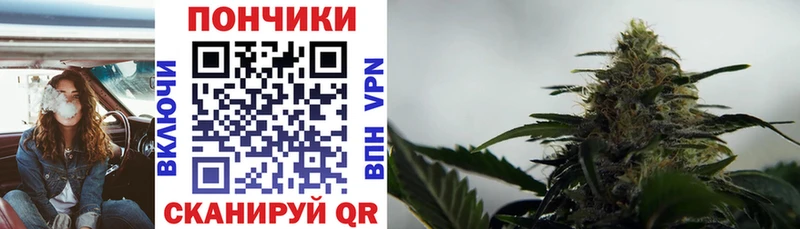 как найти закладки  Шуя  МАРИХУАНА White Widow 